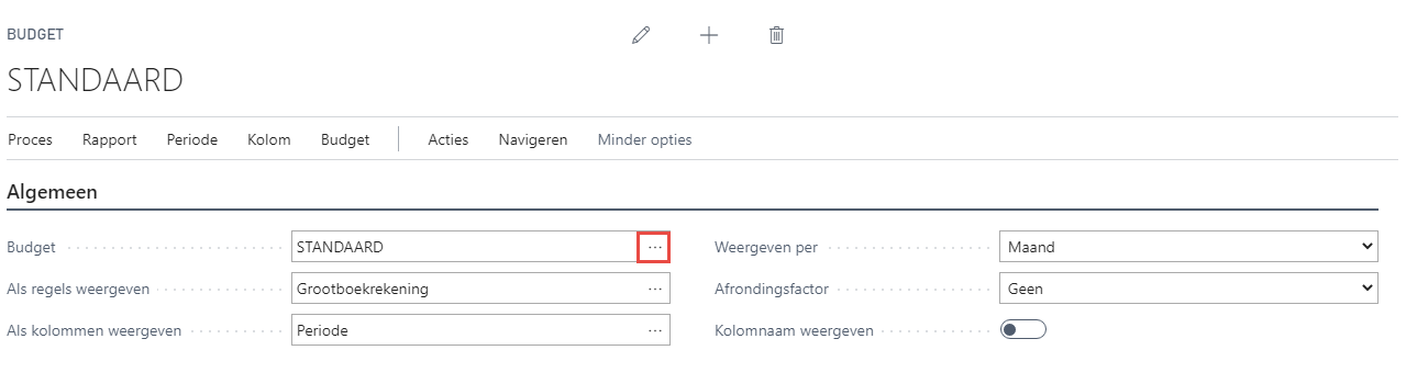 Puntjes naast het veld Budget